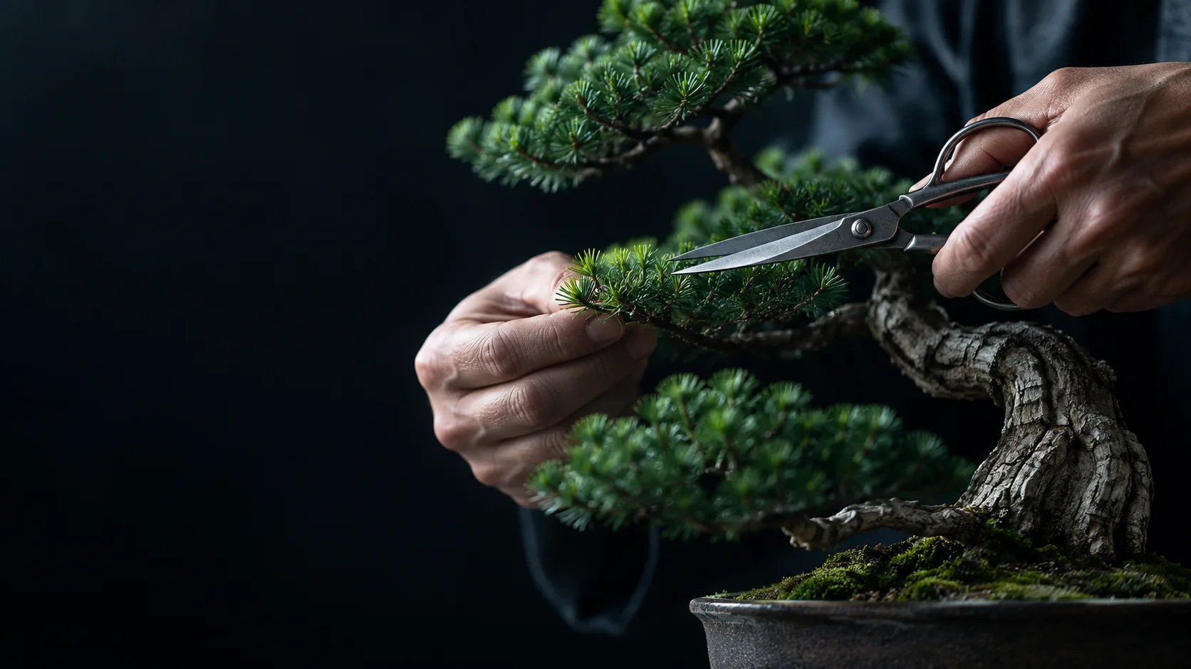Mãos conduzindo uma tesoura de poda até um galho fino de bonsai, foco na lâmina.